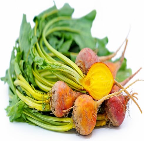 Yellow Beetroot vegetable seeds for Home Gardening, Easy Grow Culinary Garden Selection for kitchen garden planting