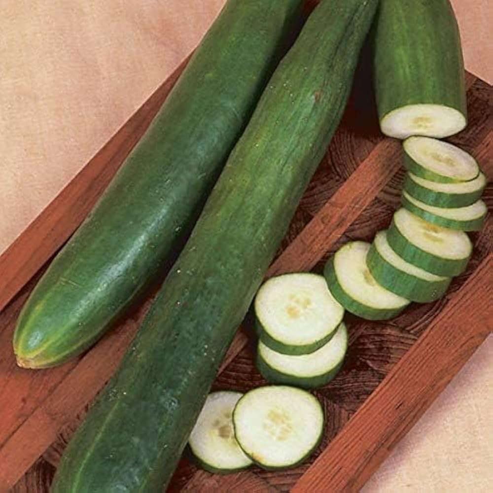Cucumber Vegetable Seeds for Growing White Vegetable Seeds for Home Gardening, Organic Raised Bed Heirloom, Non-GMO for Home Garden Planting
