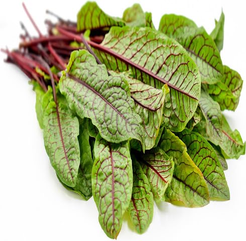 Red Sorrel vegetable seeds - Heirloom, Organic, Non Gmo Garden Seeds for kitchen garden planting