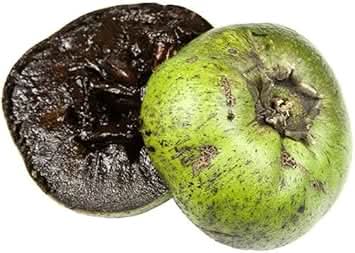 fresh digyna sapote fruit exotic tree for your yard Fruit seeds
