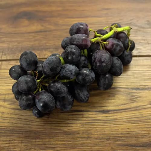 Black Grape fruit seeds for organic garden planting