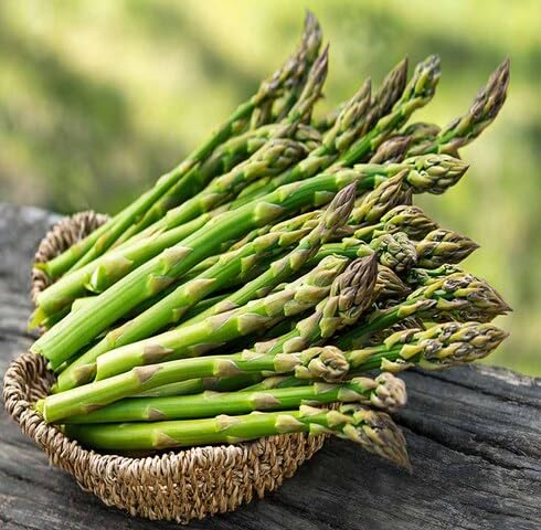 Green Asparagus vegetable seeds vegetable seeds for Home Gardening, Fast Growing Backyard Harvest for kitchen garden planting