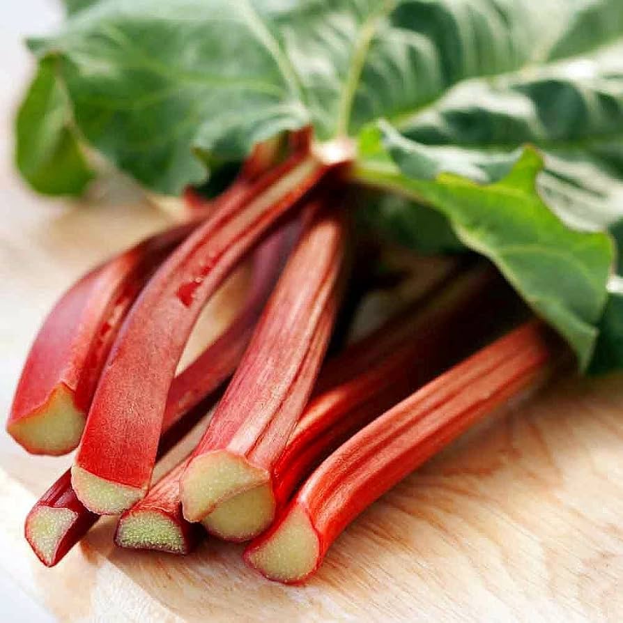 rhubarb rheum rhabarbarum plant Fruit Seeds