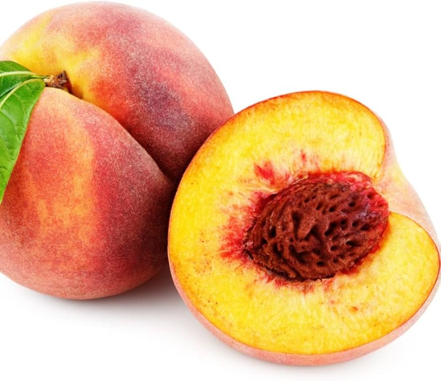 Bonsai Peach Tree Bio Blooming