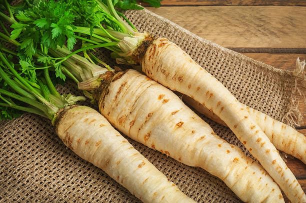 Parsnip White vegetable seeds for Home Gardening, Organic Raised Bed Garden Favorite for kitchen garden planting