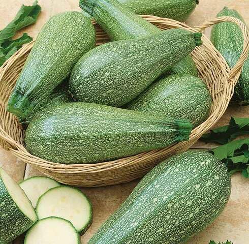 Green Zucchini Squash vegetable seeds - Heirloom, Organic, Non Gmo Garden Seeds for kitchen garden planting