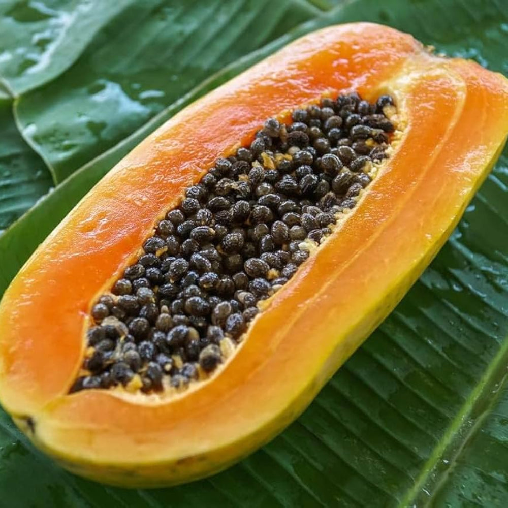 Tainung Mexican Papaya Fruit Sweet And Tropical Papayas Fruit Seeds