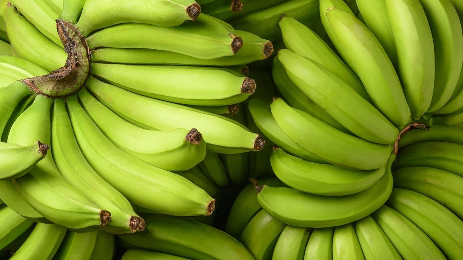 Banana Fruit Seeds organic garden seeds