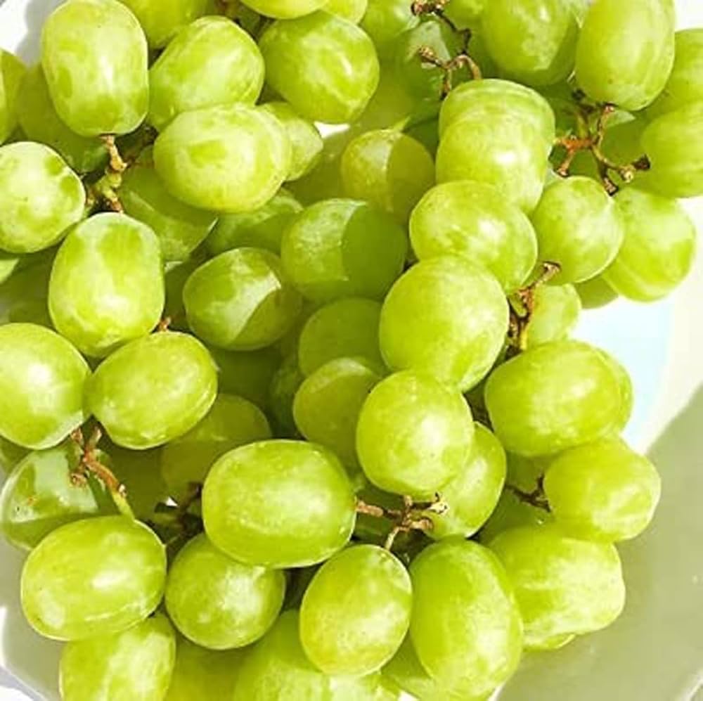 Cotton Candy Grapes Fruit Growing Sweet For Home Fruit Seeds