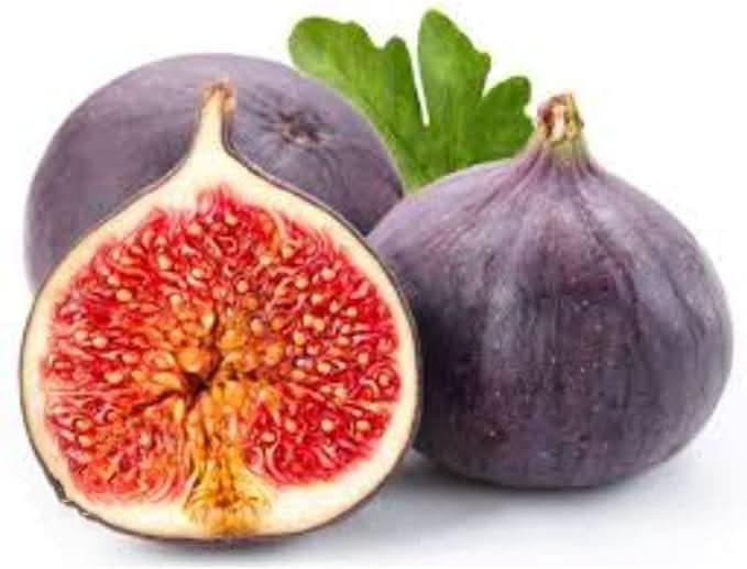 fig tree black sweet fruit shrub bonsai for growing mediterranean figs heirloom Fruit seeds