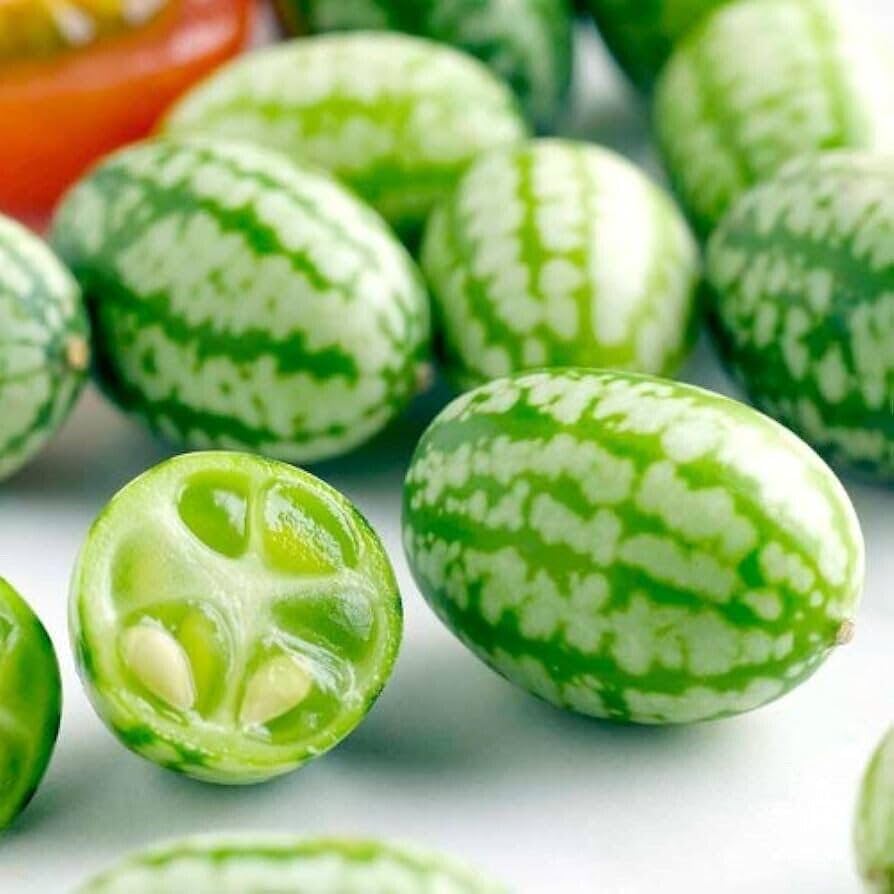 Melothria Scabra Vegetable Patches And
