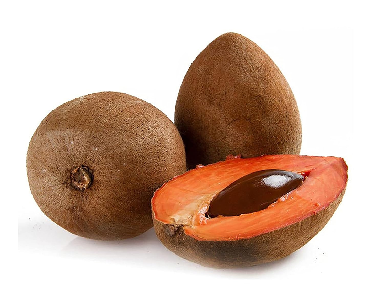 Sapote For Creamy Sweet Tropical Fruits For Kitchen Sowing Natural Germination Fruit Seeds