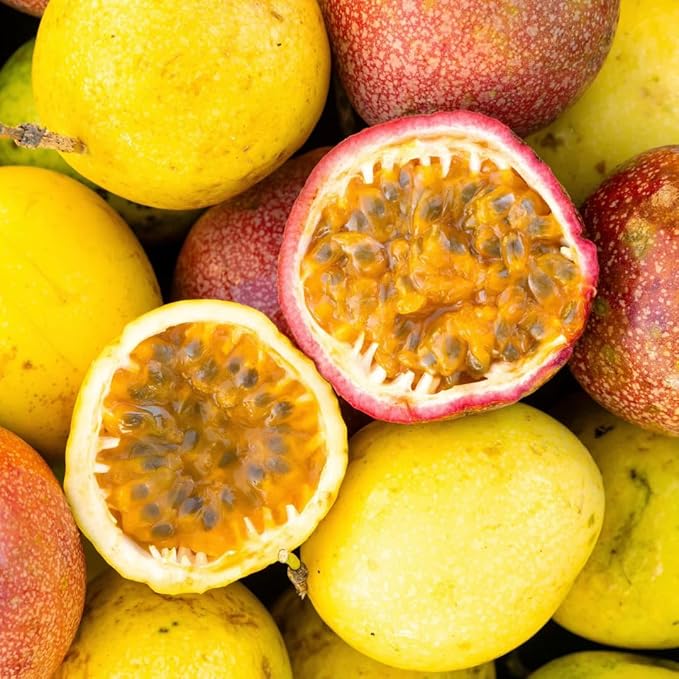 passion fruit passiflora edulis in garden Seeds