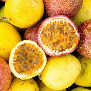 Passion Fruit Passiflora Ligularis Seeds