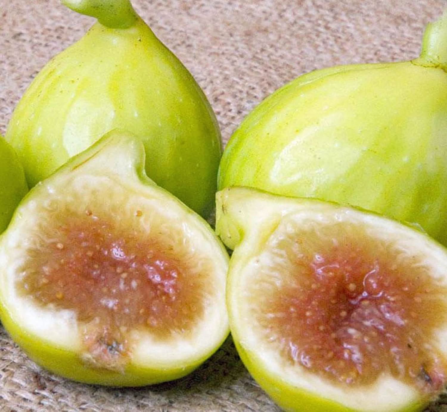 Kadota Fig Fruit For Backyard Cultivation Fresh Fruit Seeds