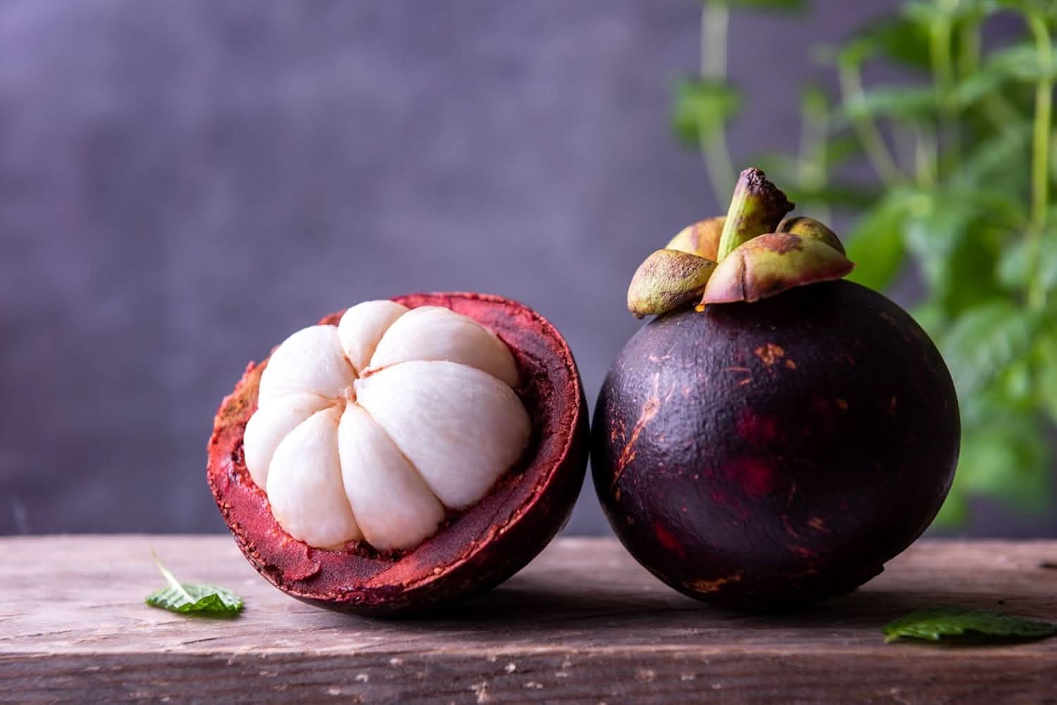 Mangosteen Fruit Set Sweet Tropical Delights Fruit Seeds