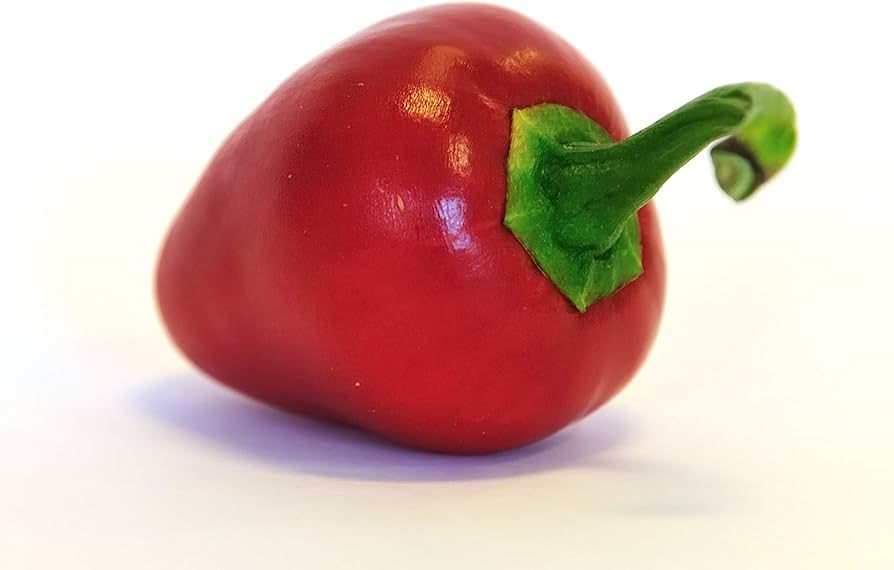 pimento capsicum annuum in kitchen garden vegetable