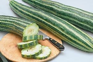 striped armenian cucumber cucumis melo vegetable in