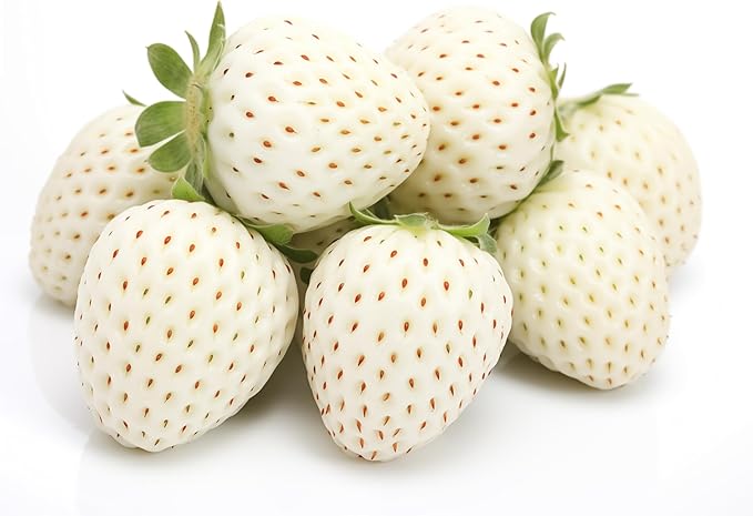 Pineberry Fruit Seeds