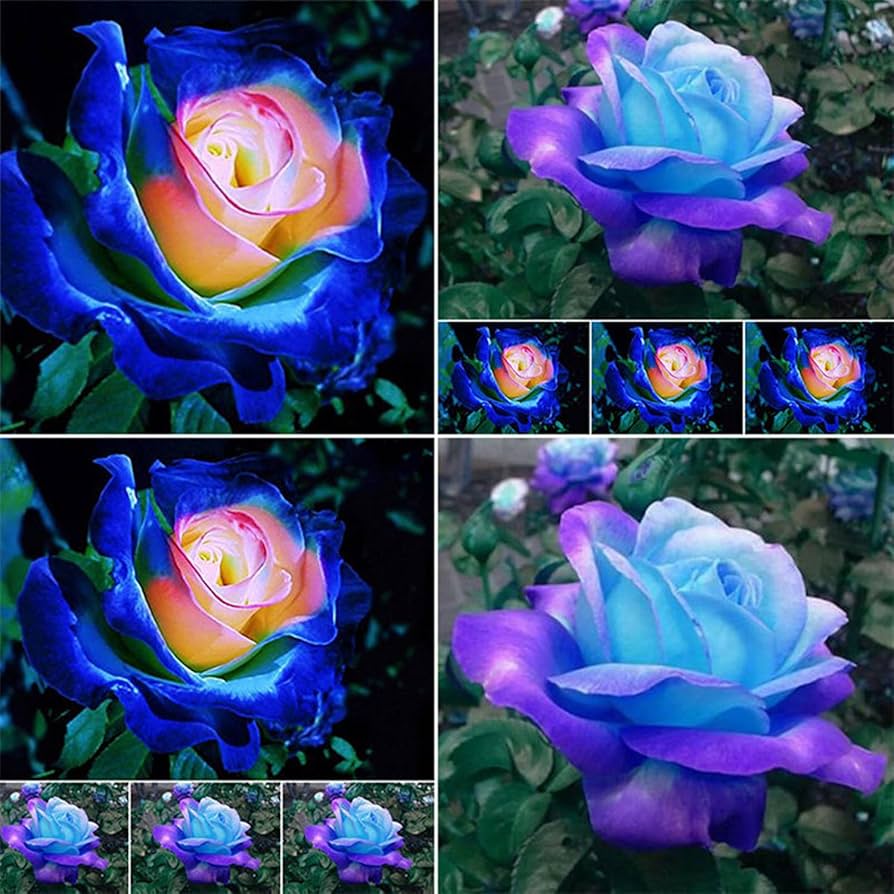 Pink Blue Bush Flower Bonsai
