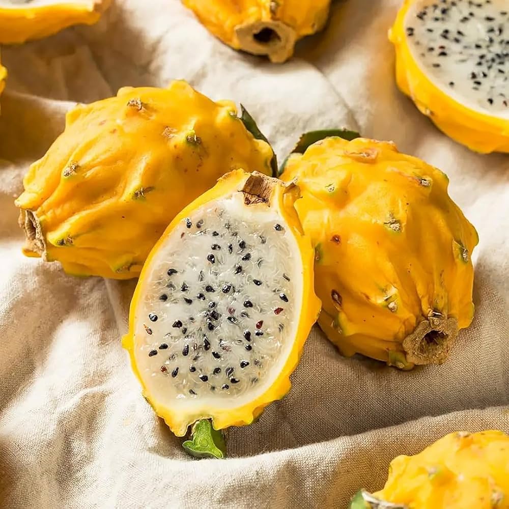 Pitaya Fruit Yellow Variety Colorful Gardens For Home Planting Fruit Seeds