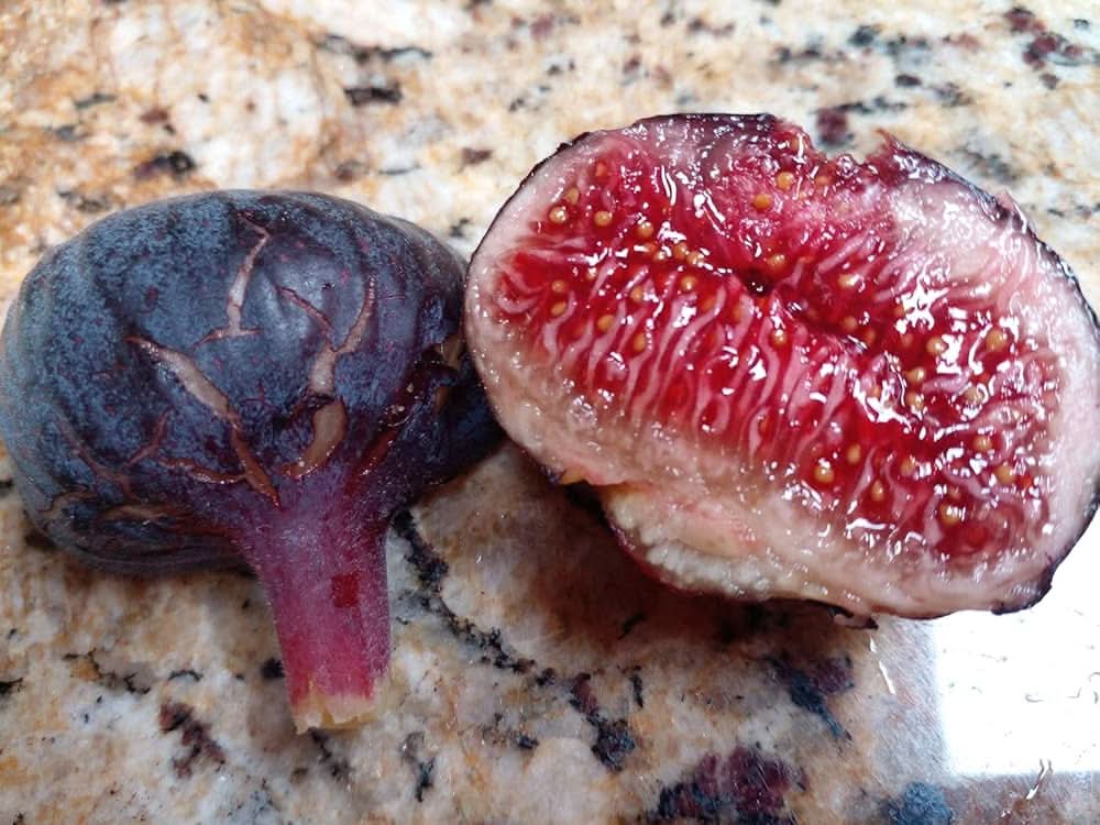 Cherry Cordial Fig And For Kitchen Sowing Fruit Seeds