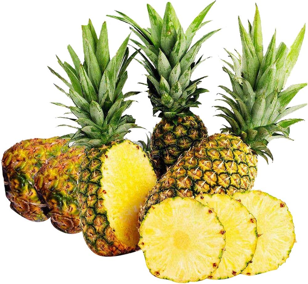 pineapple fruit ananas comosus in urban garden