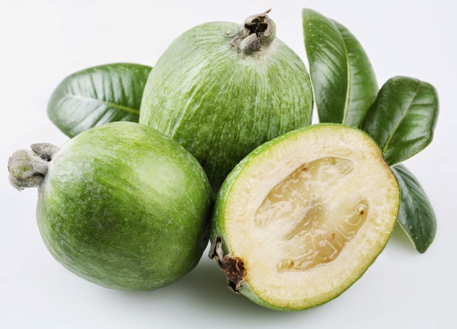 dwarf pineapple strawberry guava psidium littorale in