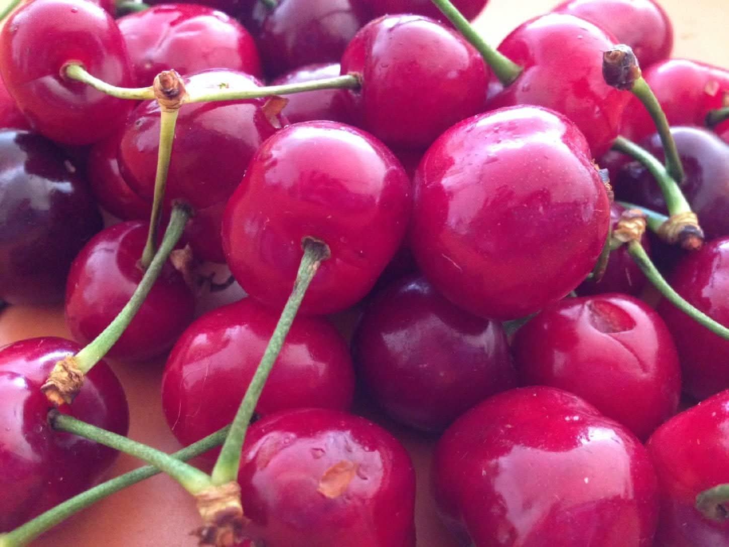 pinkish red lychee fruit for planting sweet and juicy taste tropical gardens heirloom Fruit seeds