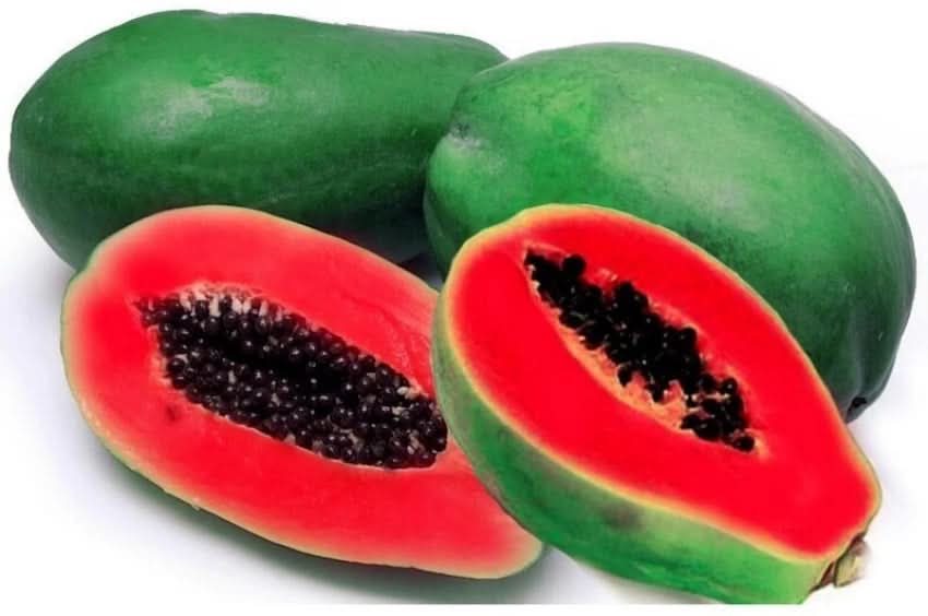red caribbean papaya fruit for planting sweet tropical papayas backyard Fruit seeds