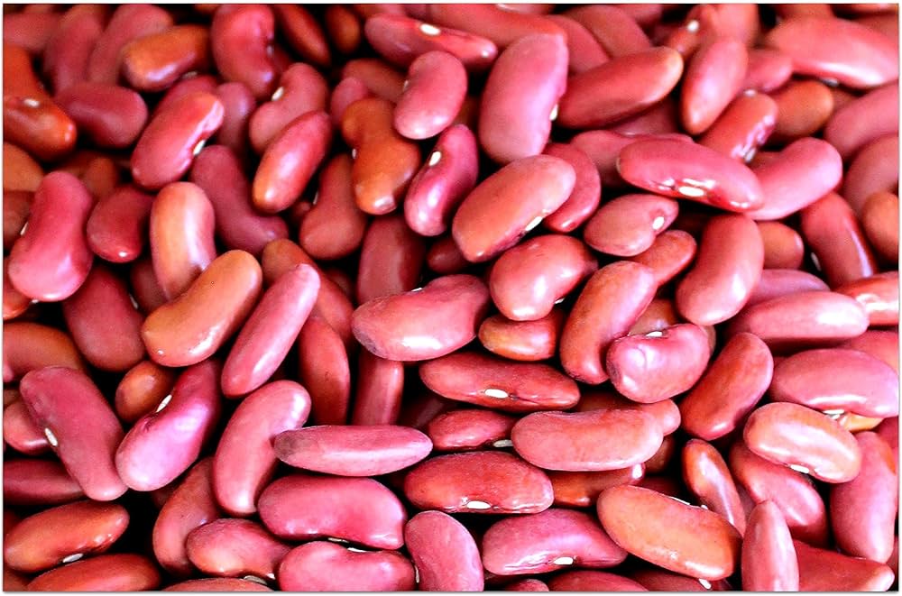 Red Heirloom Non Gmo Dark Kidney Beans Smaller Garden Spaces With Nutritious Beans Flower Seeds