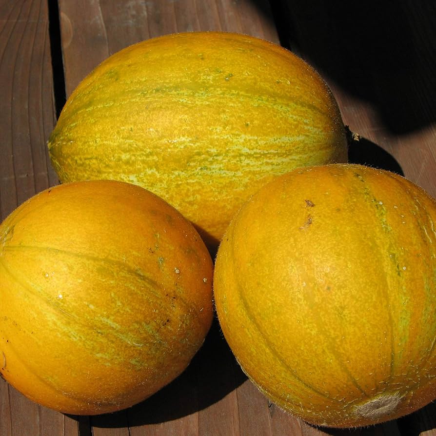 Collective Farm Woman Melon Unique