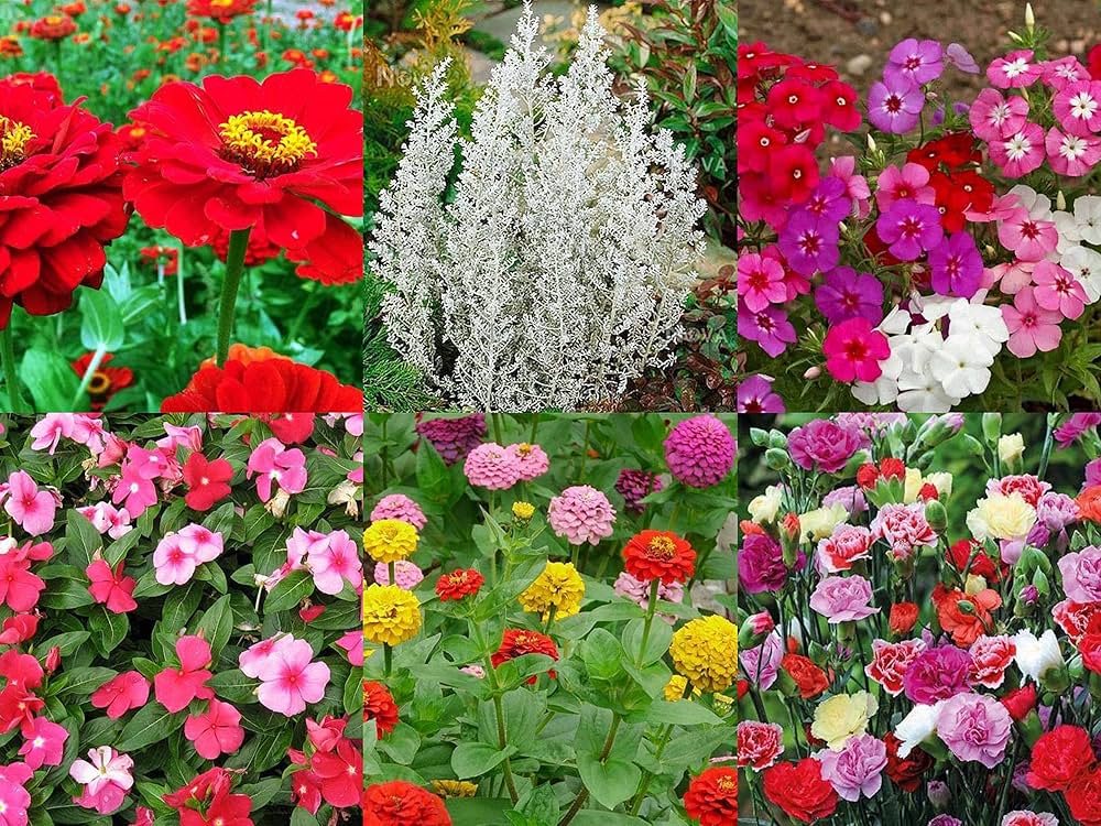 Flower Mix