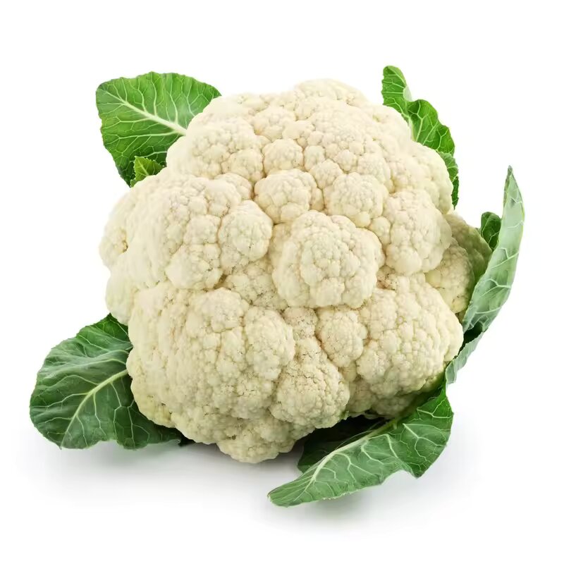 Broccoli vegetable seeds White vegetable seeds for Home Gardening, Healthy Culinary Garden Variety for kitchen garden planting