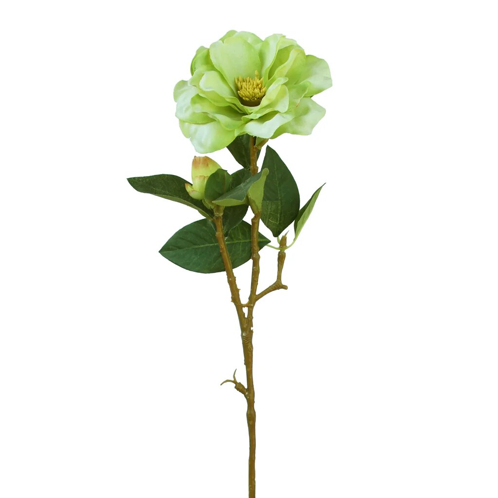 Green Camelia Flower Seeds