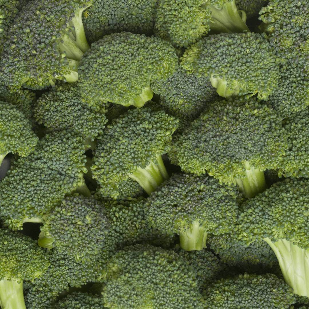 Broccoli Vegetable Seeds for Planting Green Vegetable Seeds for Home Gardening, Fast Growing Heirloom, Non-GMO for Home Garden Planting