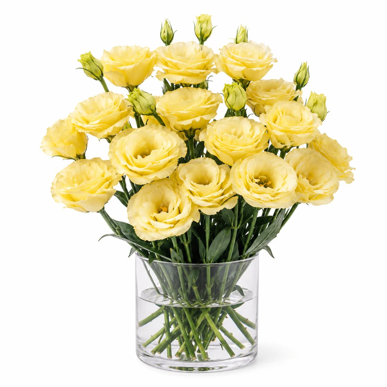 Yellow Eustoma Flower Seeds