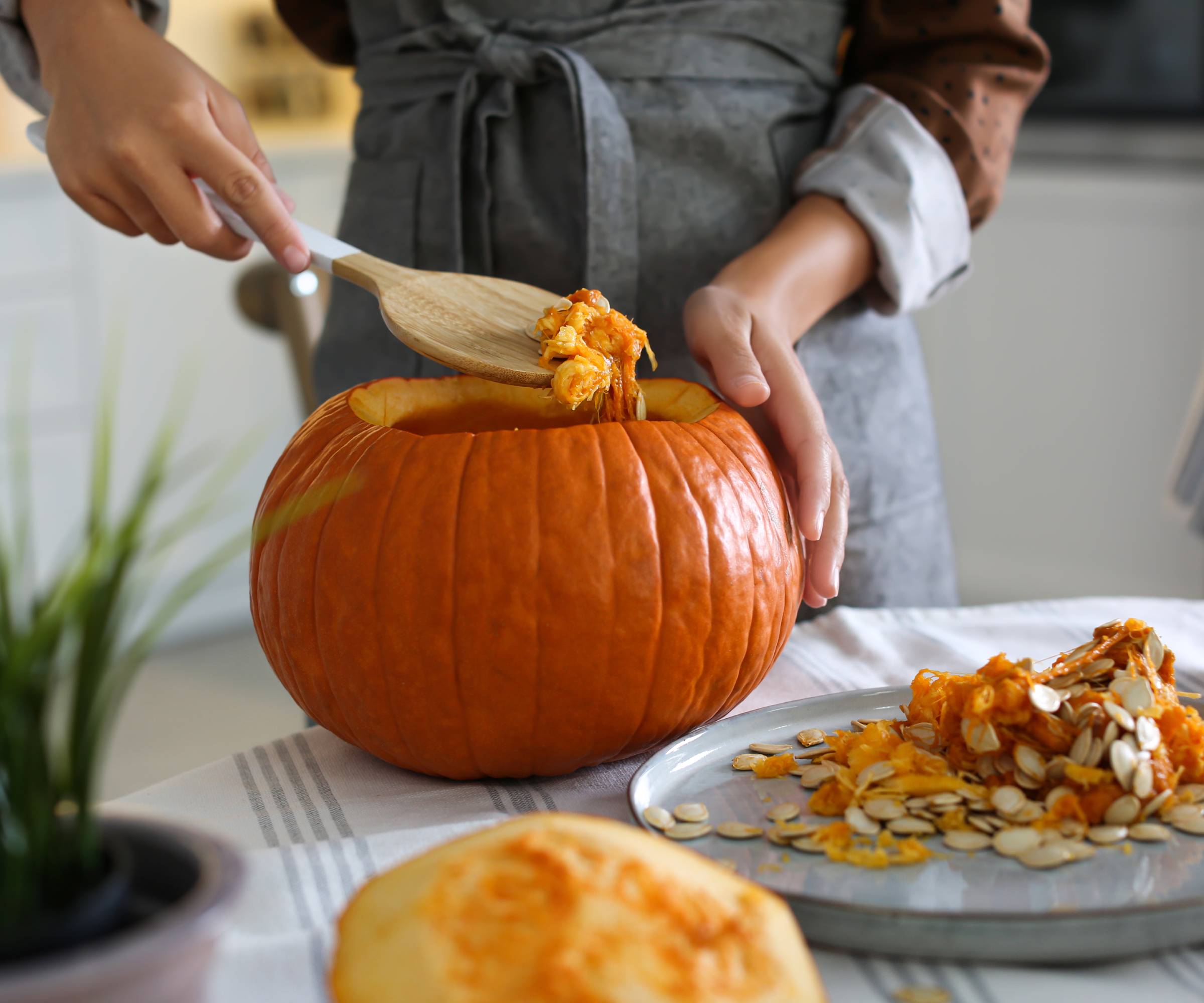 brown pumpkin fruit hardy and nutritious pumpkins for fall harvest Fruit seeds
