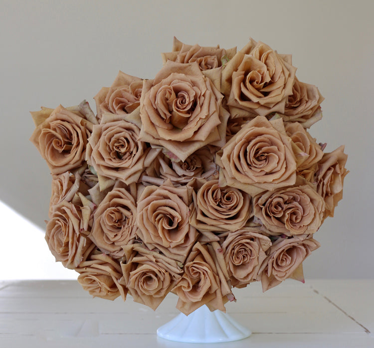 Brown Rose Flower Seeds
