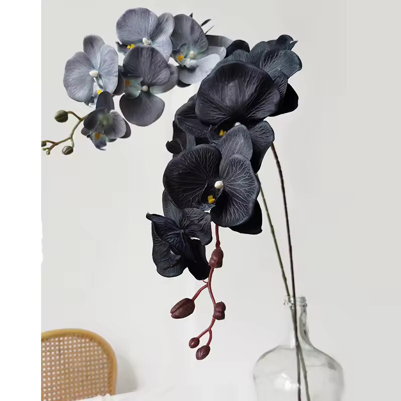 Black Primrose Flower Seeds - Heirloom Non GMO Premium Garden Seeds for Planting