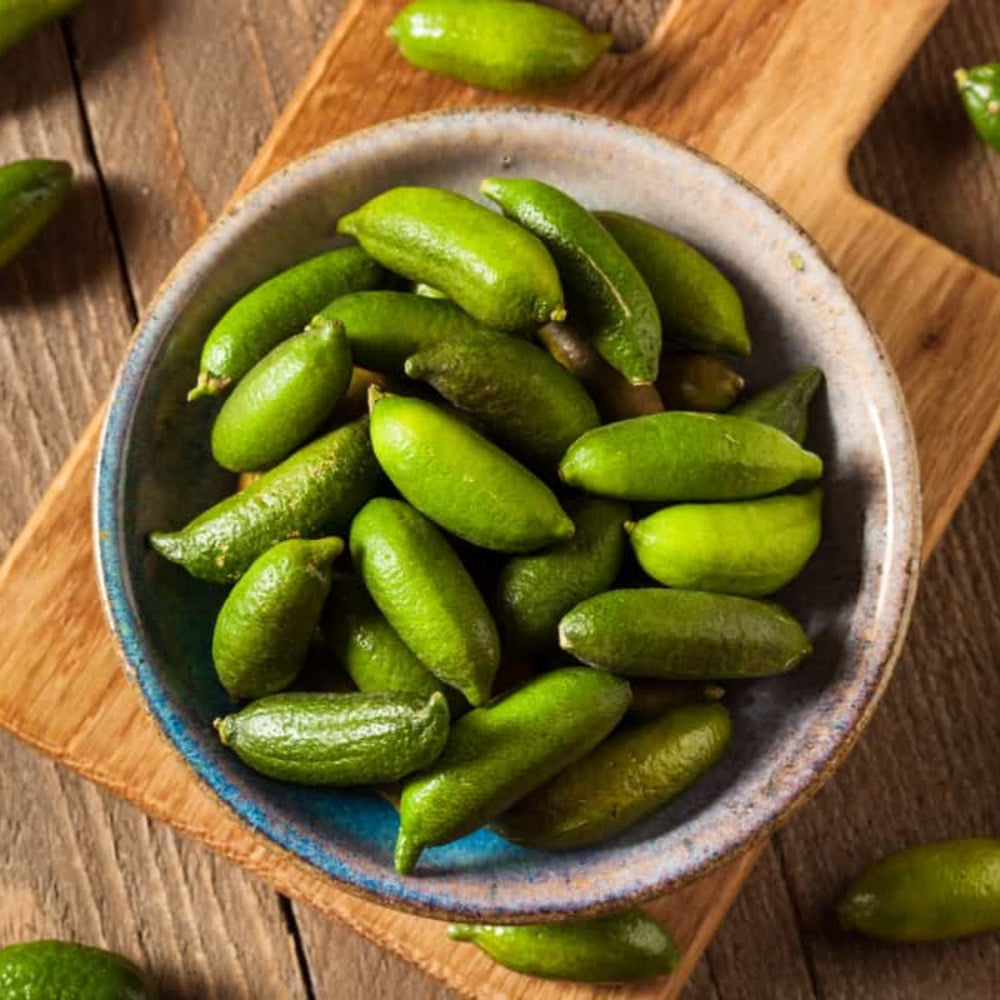 Finger Lime Fruit Green Tangy Variety Unique Citrus Flavors Fruit Seeds