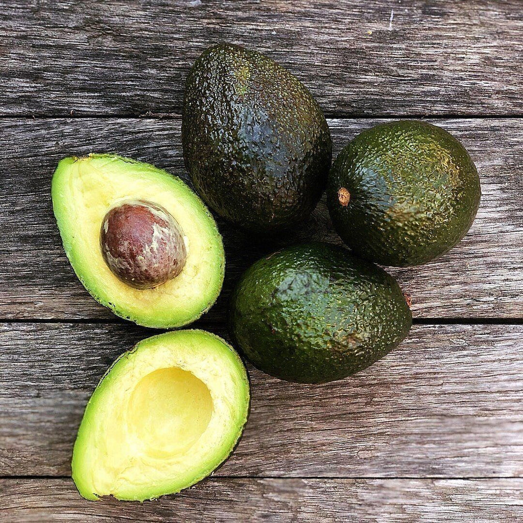 pinkerton avocado or butter fruit for planting unique and rare healthy fats heirloom Fruit seeds