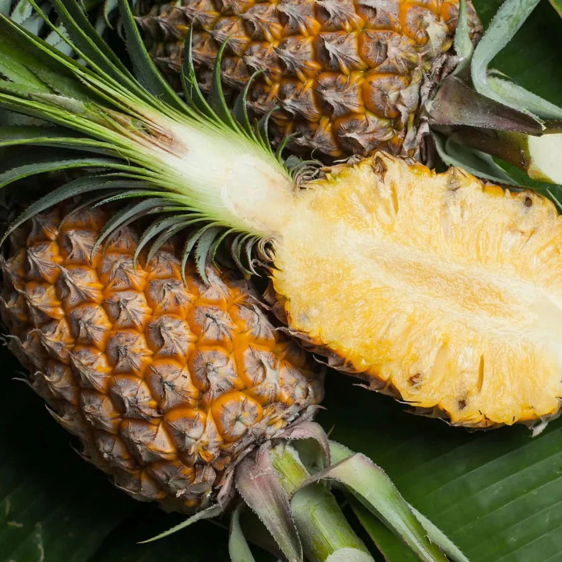 queen victoria pineapple fruit for planting variety unique pineapples in your yard heirloom Fruit seeds