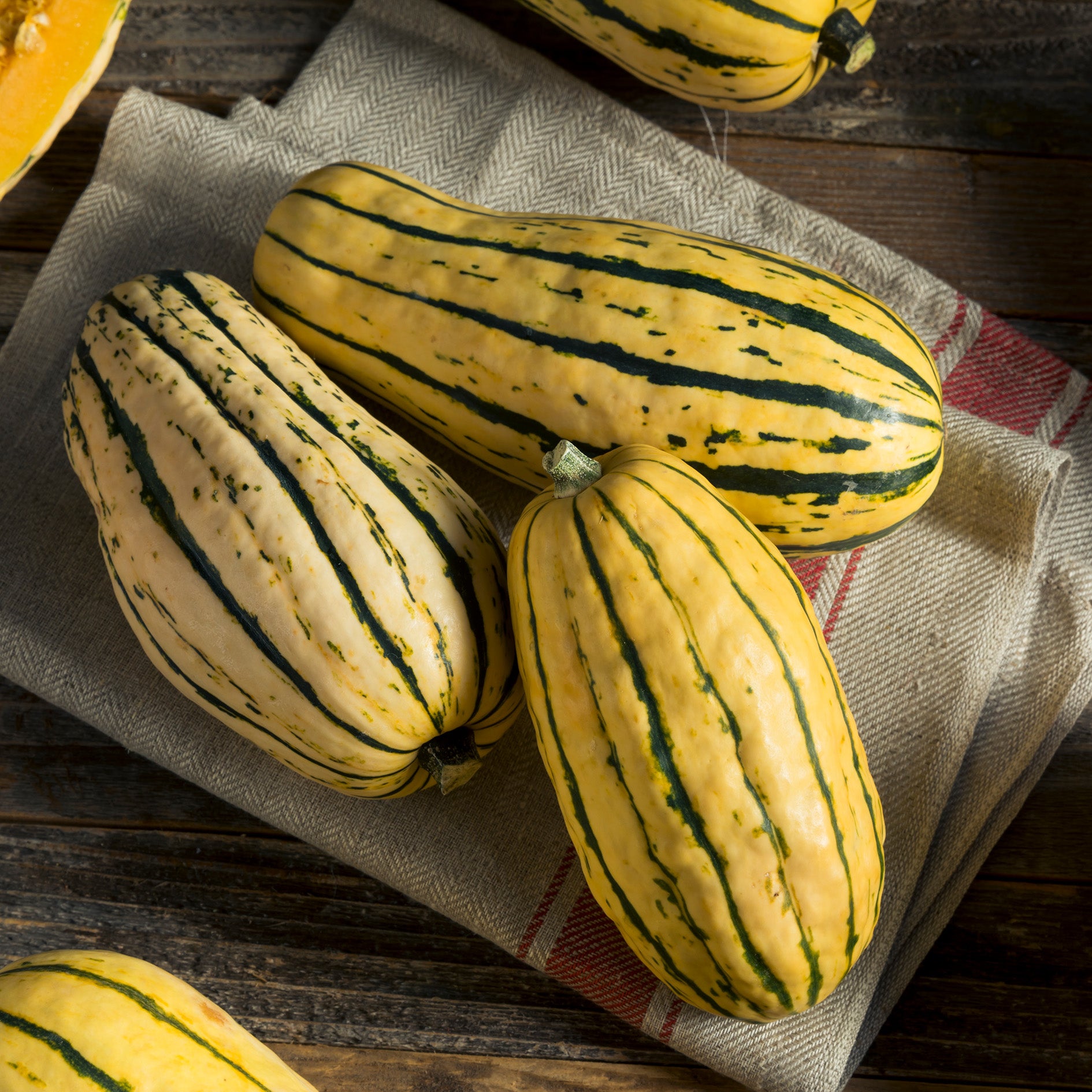 Delicata Sweet Potato Squash Seeds Heirloom, Non-GMO for Home Garden Planting