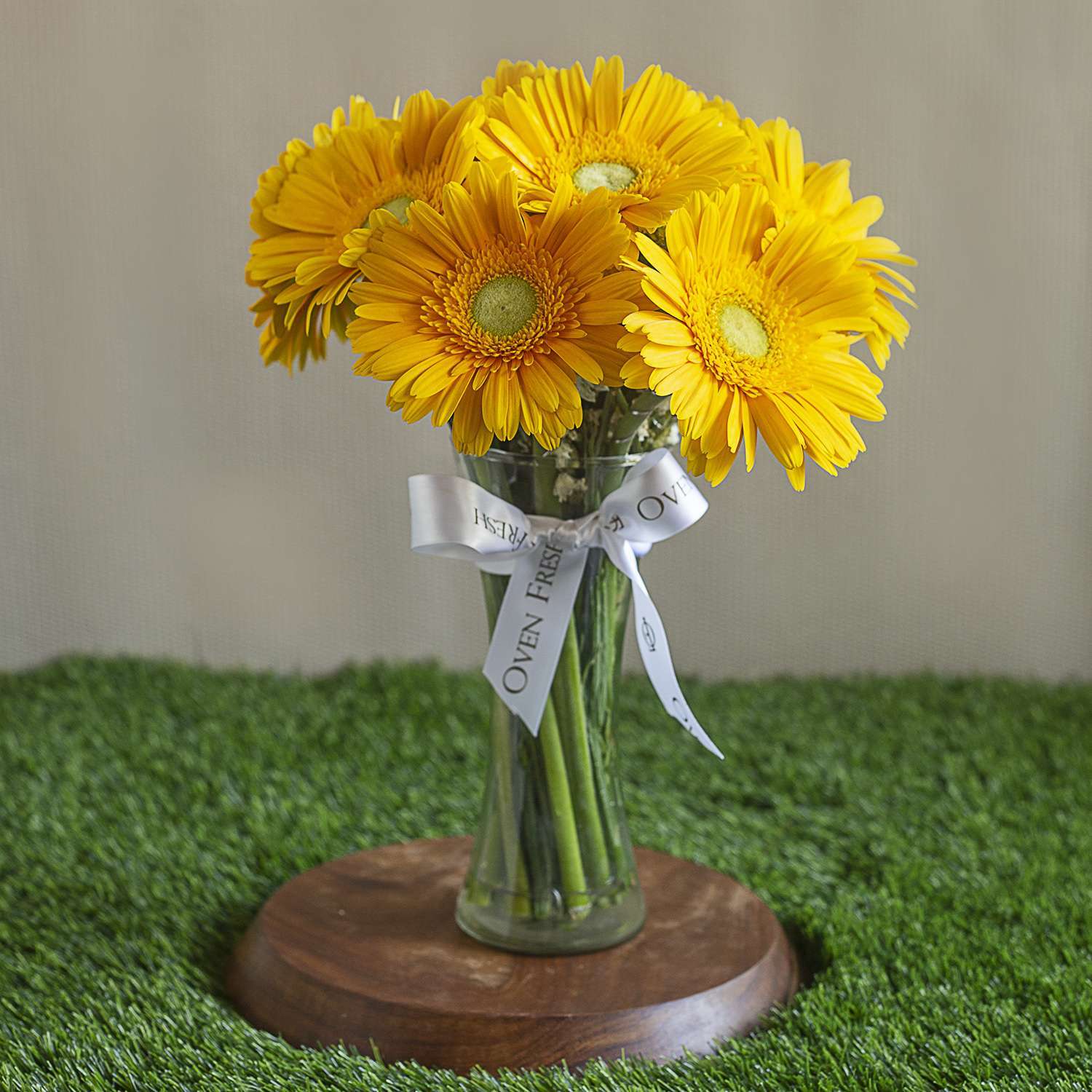 Yellow Gerbera Flower Seeds