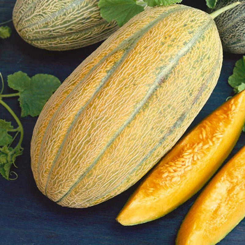 banana melon unique flavor and appearance heavenly sweet high organic Fruit Seeds organic garden seeds