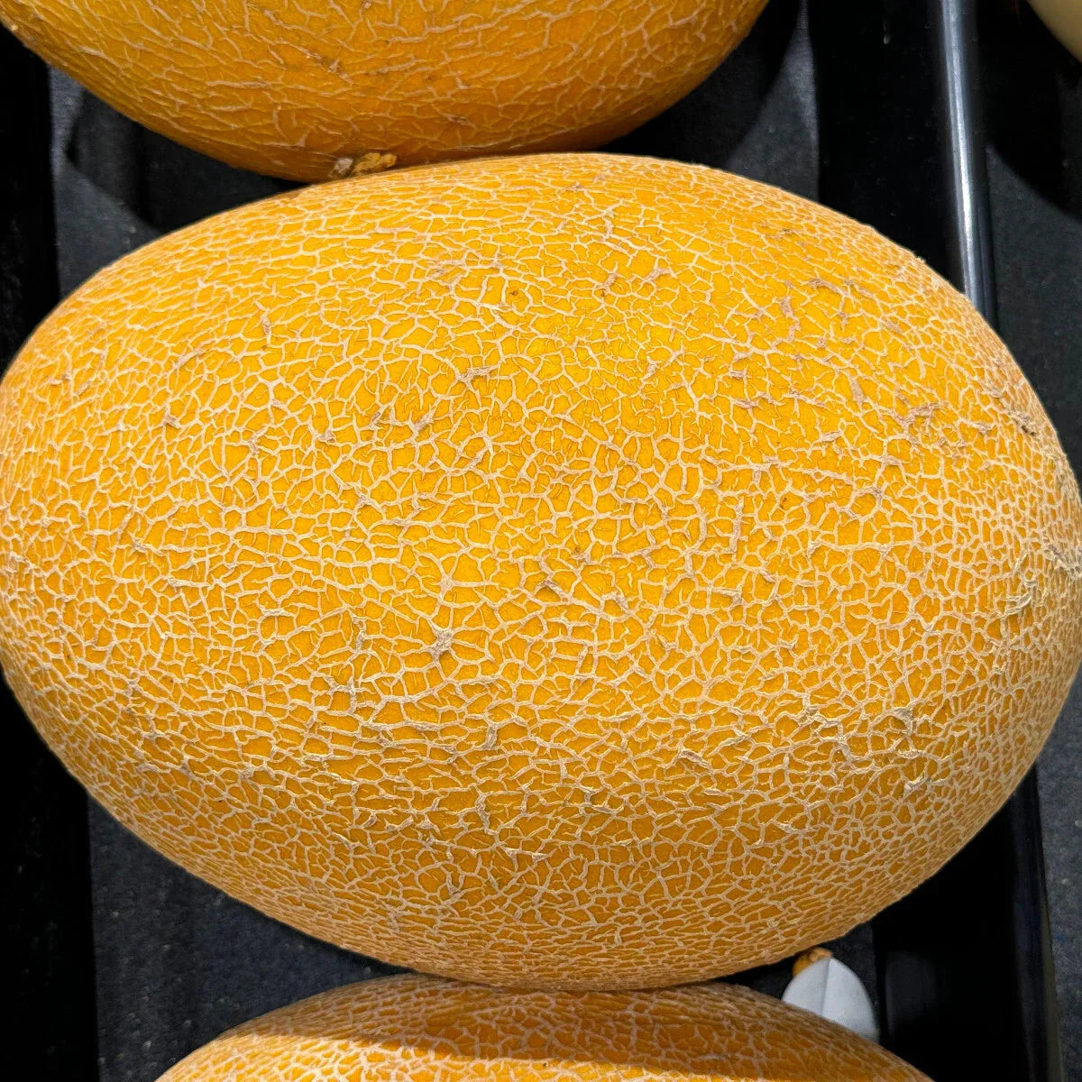 Ananas Melon Aka Pineapple Huge