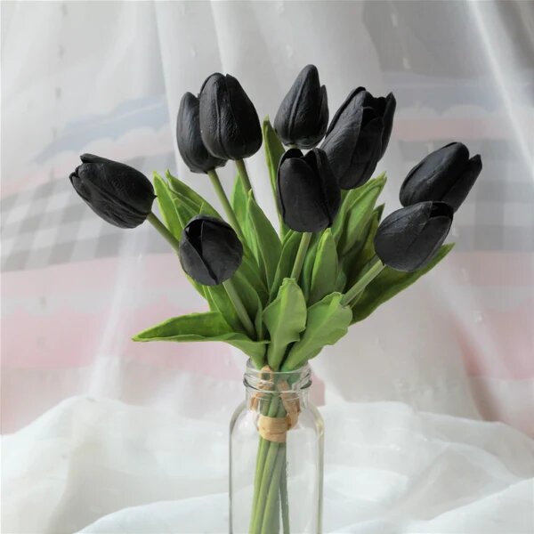 Black Tulip Flower Seeds