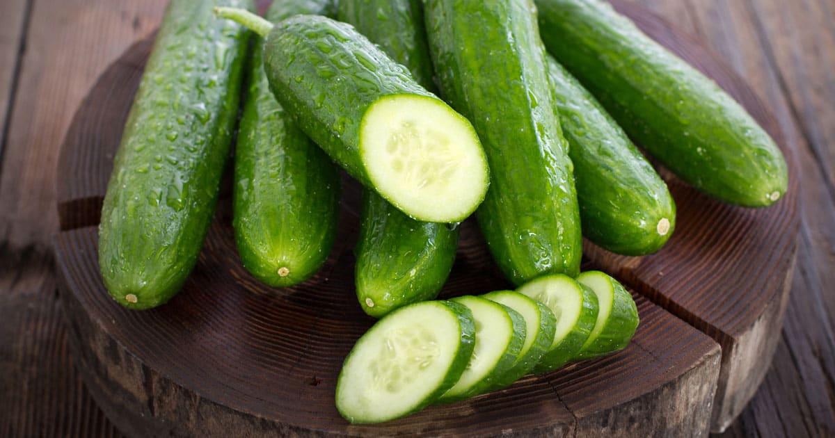 Cucumber vegetable seeds for Growing White vegetable seeds for Home Gardening, Organic Raised Bed for kitchen garden planting