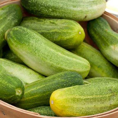 Cucumber Vegetable Seeds for Planting for Growing Yellow Vegetable Seeds for Home Gardening, Heirloom, Non-GMO for Home Garden Planting